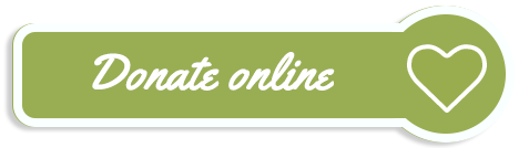 donate online