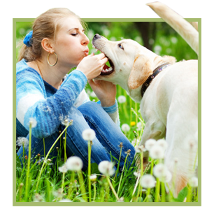 Happy Pets - Dogs